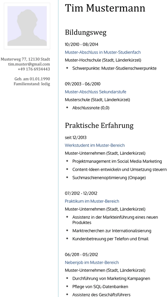 lebenslauf-vorlage-fuer-bewerbungen-und-persoenliche-entwicklung