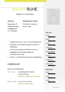 lebenslauf-vorlage-fuer-eine-erfolgreiche-bewerbung