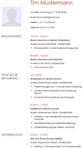 lebenslauf-vorlage-fuer-professionelle-bewerbungen