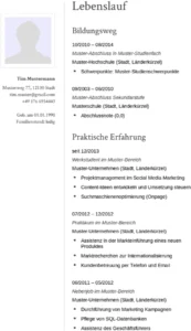lebenslauf-vorlage-fuer-professionelle-bewerbungen