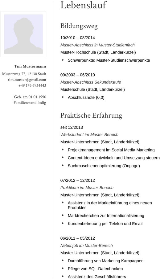 lebenslauf-vorlage-fuer-professionelle-bewerbungen