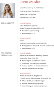 lebenslauf-vorlage-influencer-marketing