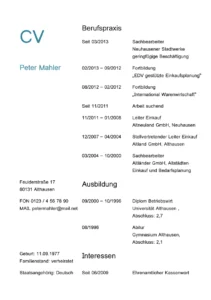 lebenslauf-vorlage-klar-strukturiert-persoenliche-einblicke