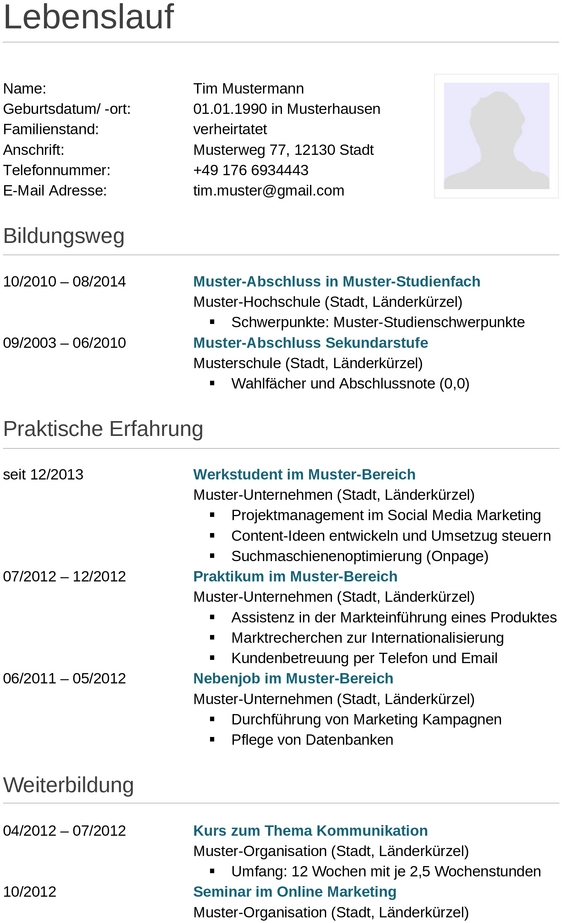 lebenslauf-vorlage-mit-klarer-struktur-und-anpassbaren-abschnitten