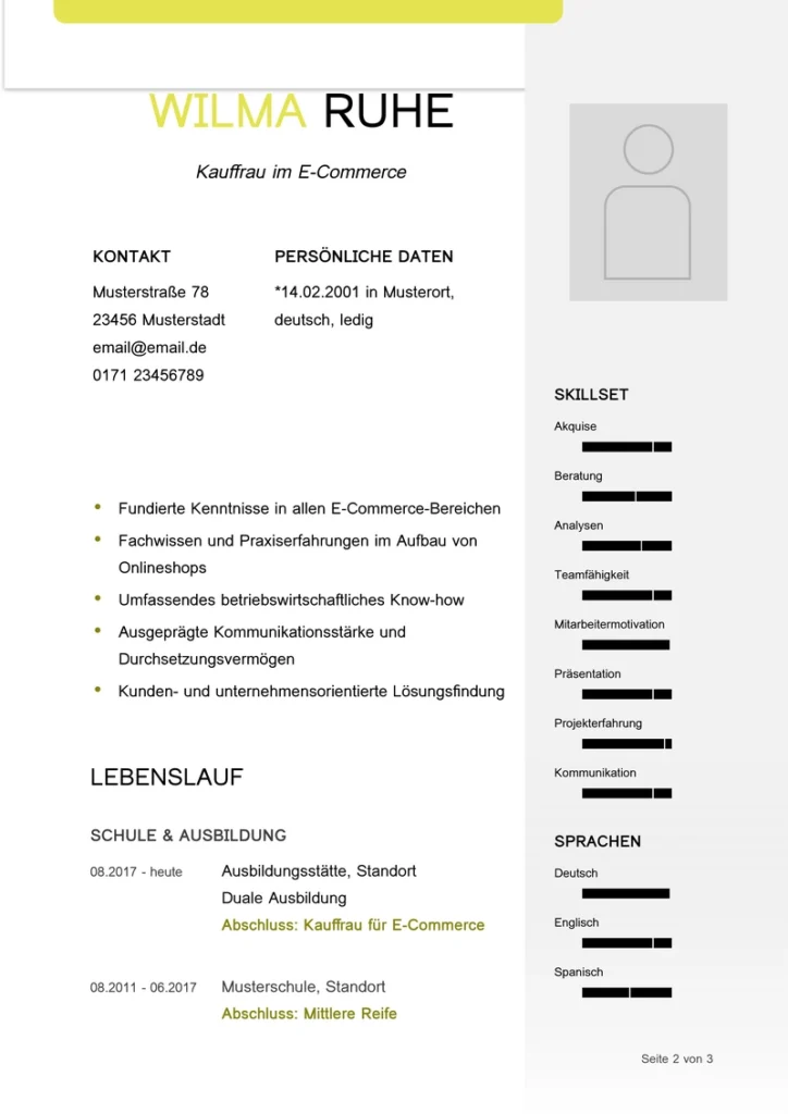 lebenslauf-vorlage-mit-struktur-und-design