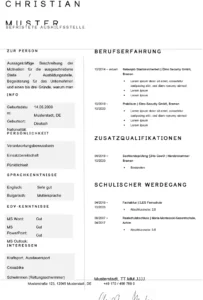 lebenslauf-vorlage-ohne-foto-muster