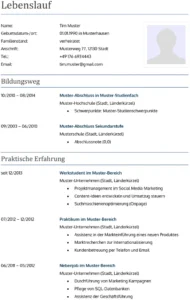 lebenslauf-vorlage-pdf-fuer-bewerbungen-und-hr-management