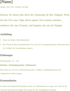 lebenslauf-vorlage-strukturiert-informativ