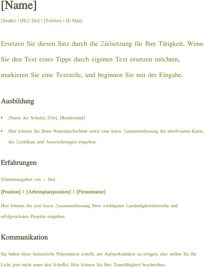 lebenslauf-vorlage-strukturiert-informativ