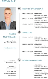 lebenslauf-vorlage-tabellarisch-anschaulich-anpassbar