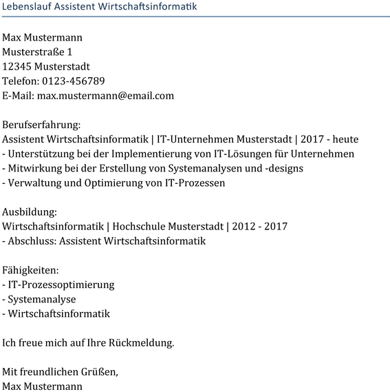 lebenslauf-vorlage-wirtschaftsinformatik