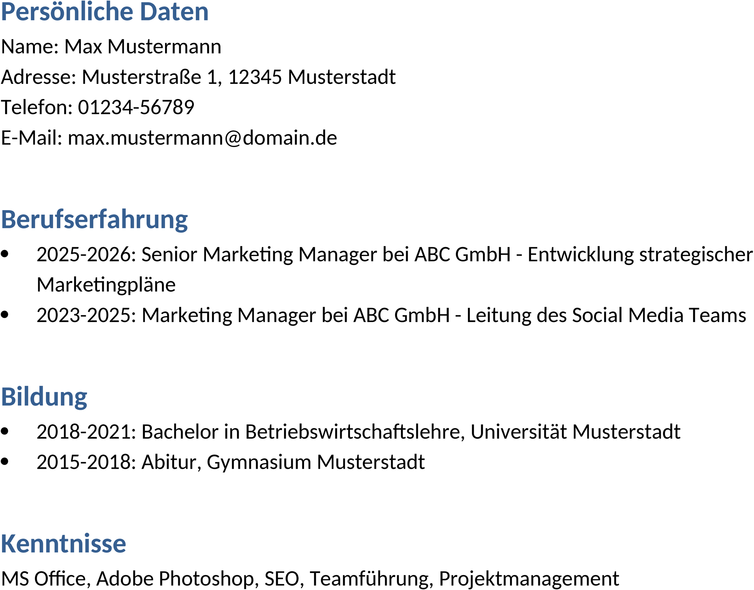Lebenslauf Word-Vorlage 2026