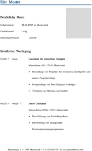 lebenslauf-word-vorlage-fuer-consulting