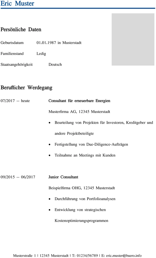 lebenslauf-word-vorlage-fuer-consulting