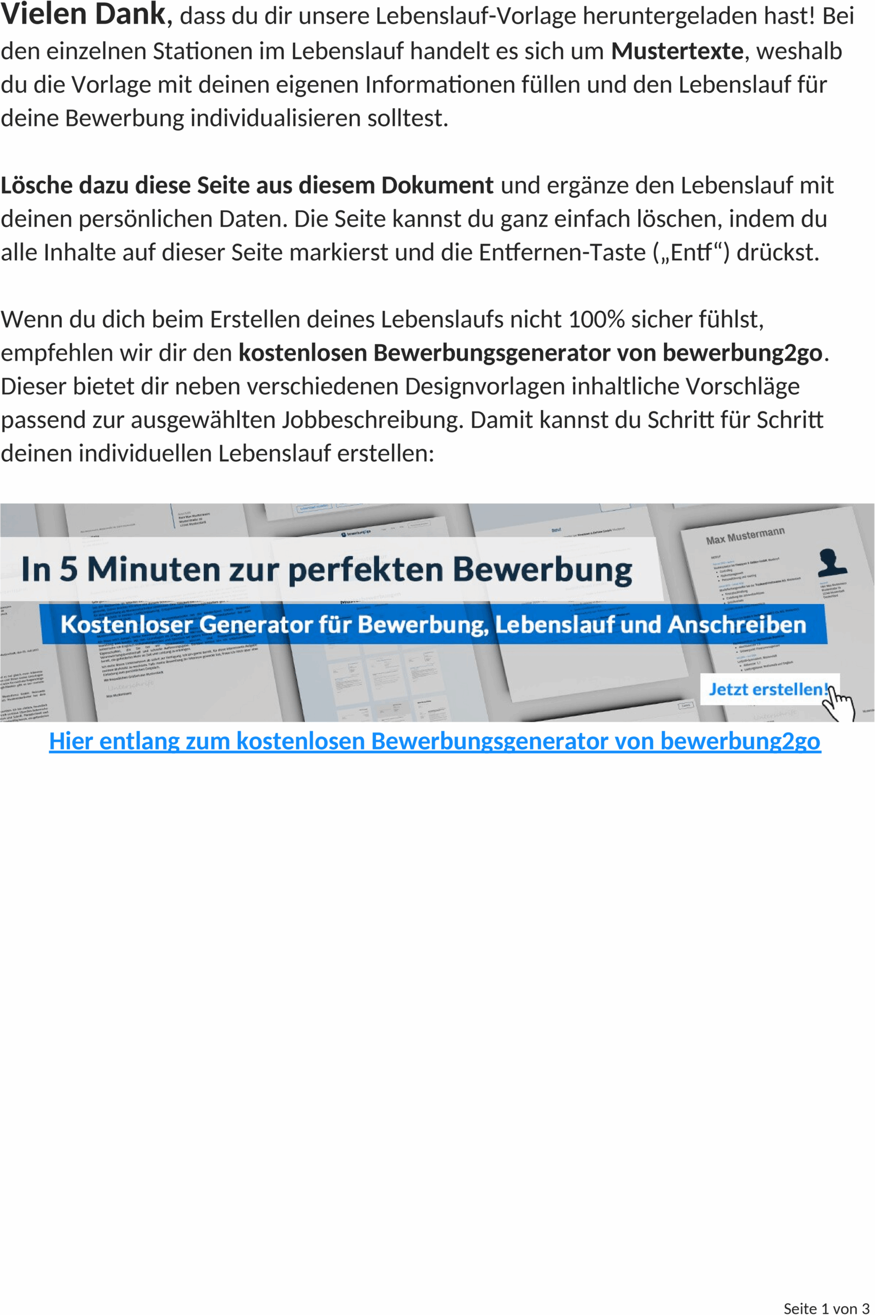 Lebenslaufvorlage 2025: Word-Dokument mit Modernem Design
