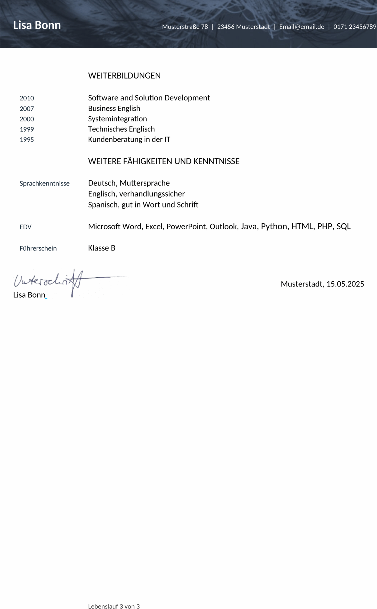 lebenslaufvorlage-loesungsorientiert-1747312728394.png