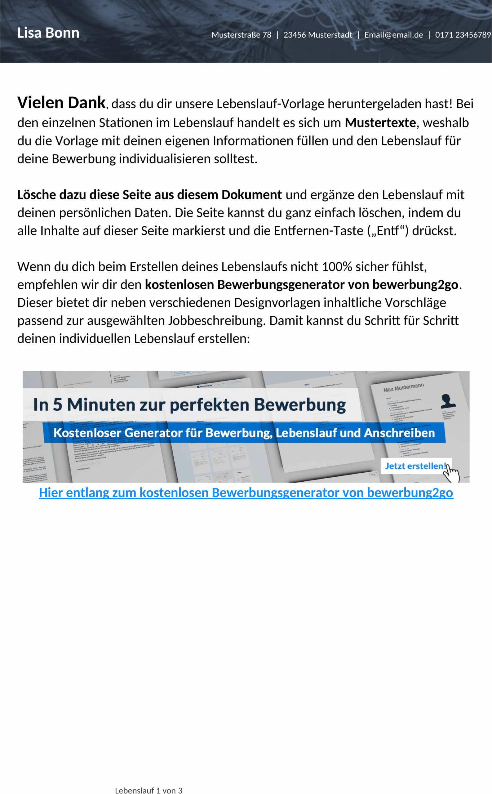 lebenslaufvorlage-loesungsorientiert.png