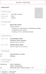 lebenslaufvorlage-softwareentwickler-it-profis