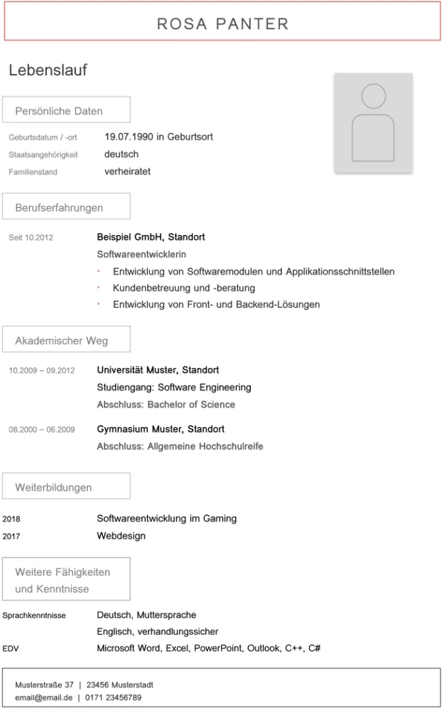 lebenslaufvorlage-softwareentwickler-it-profis