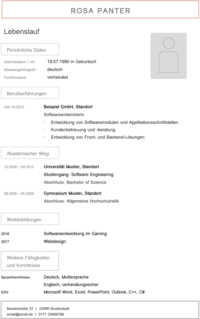 lebenslaufvorlage-softwareentwickler-it-profis