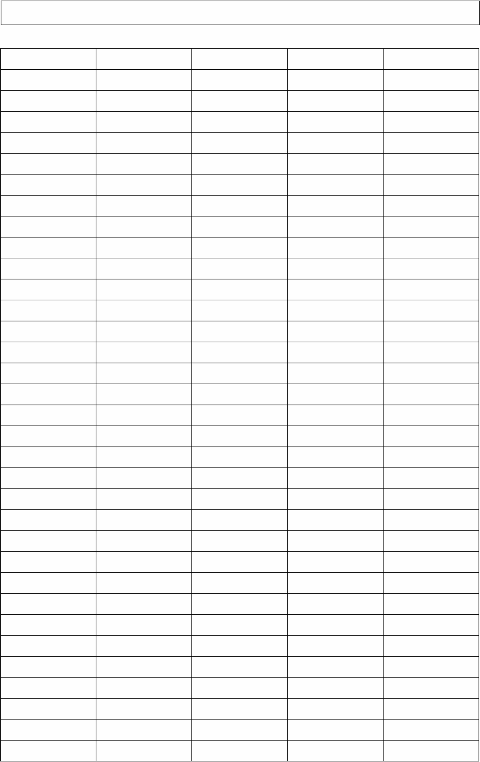 Leere Tabelle mit 5 Spalten für Datenmanagement und Buchhaltung