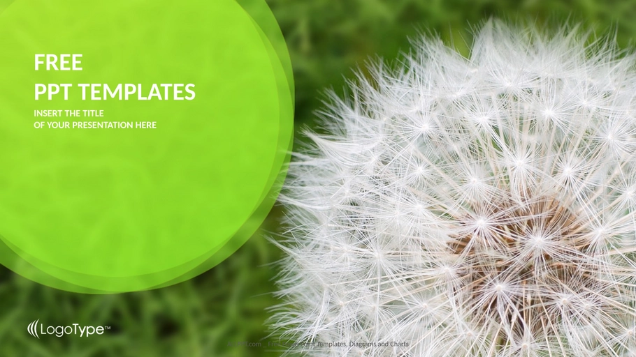 loewenzahn-auf-gras-natur-ppt-templates-widescreen.png