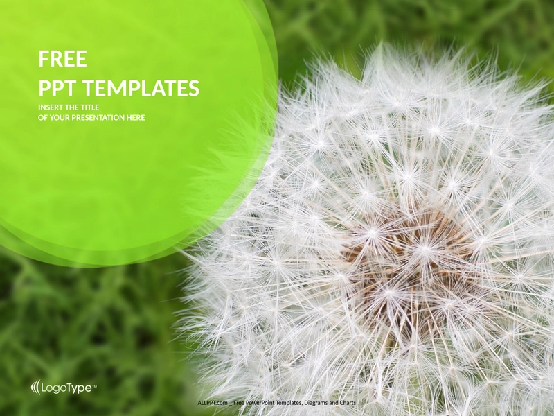 loewenzahn-auf-gruenem-gras-natur-ppt-template-standard.png