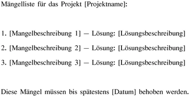 maengelliste-fuer-projekte-in-word