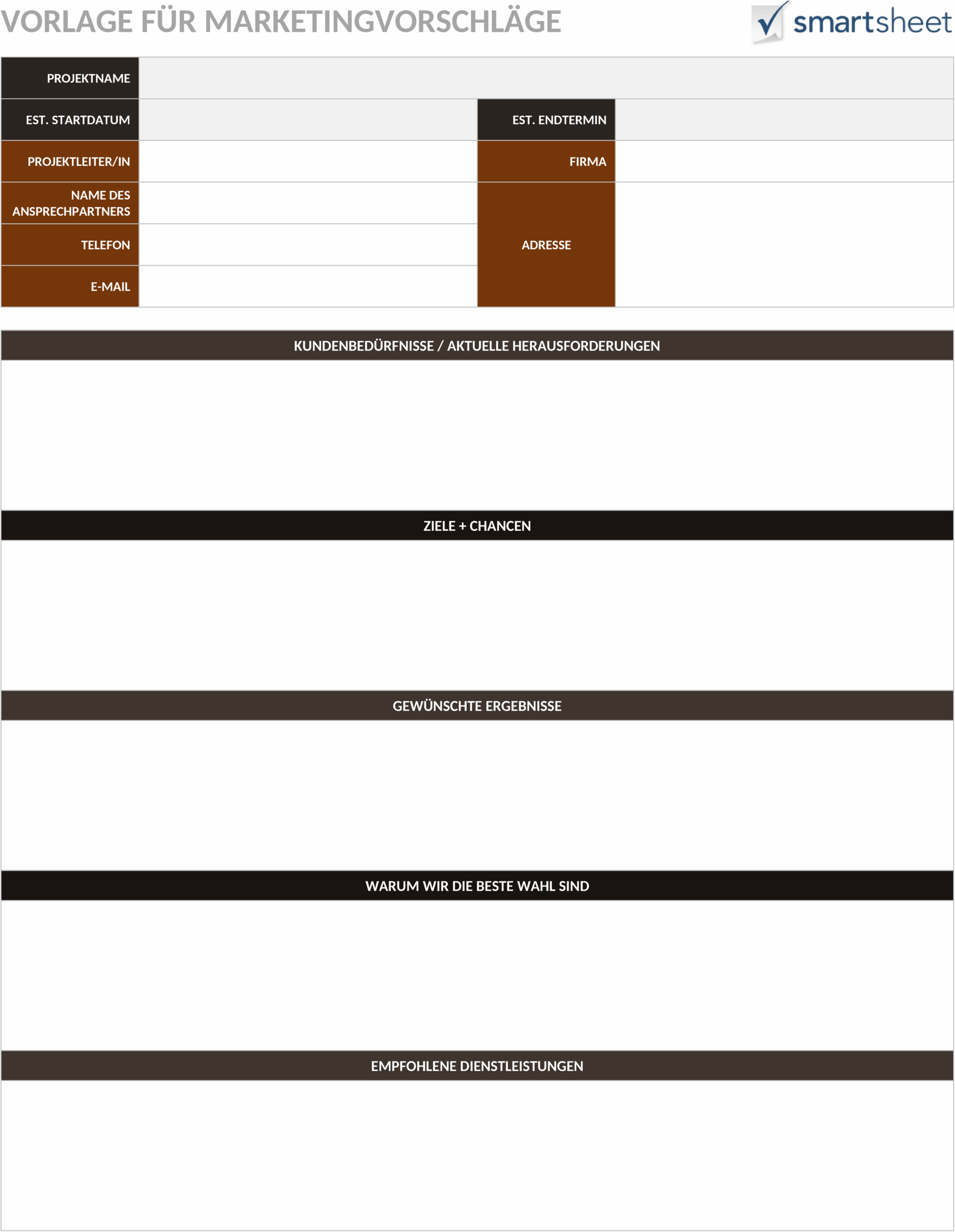 Marketing-Vorschlag-Word-Template