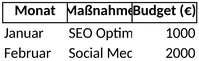 marketingplan-und-budgetverwaltung-excel