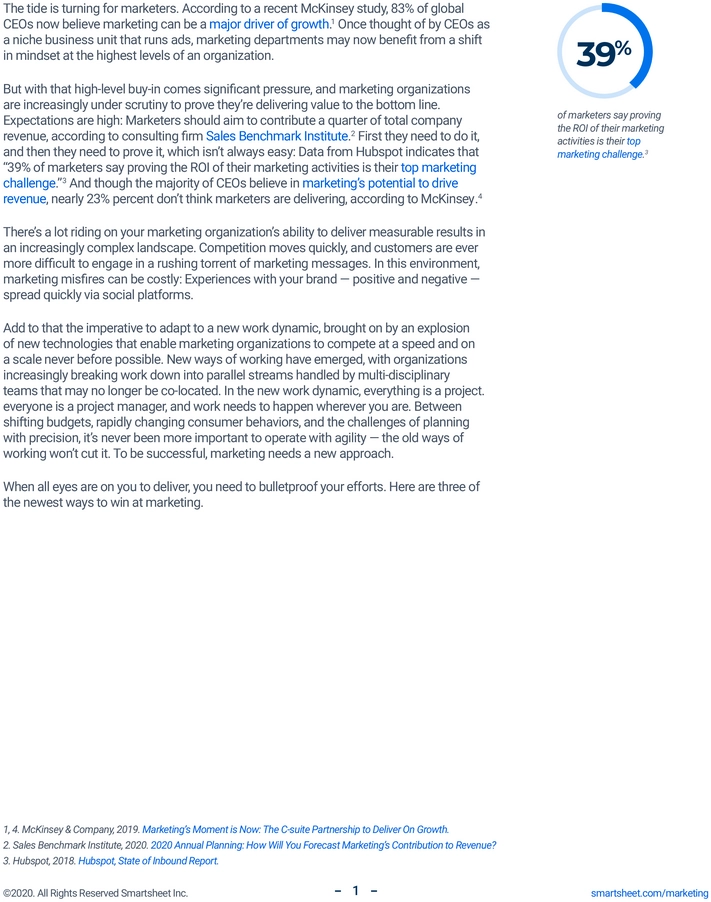 marketingstrategien-und-projektmanagement-vorlage