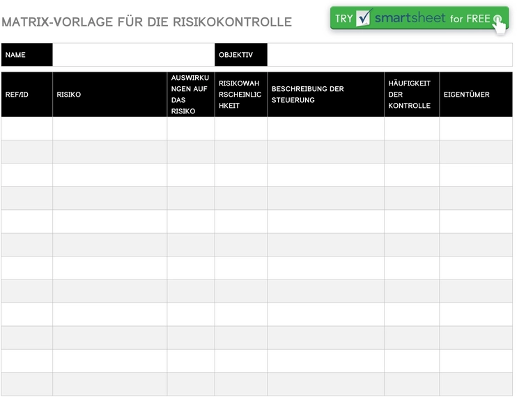 matrix-vorlage-fuer-die-risikokontrolle