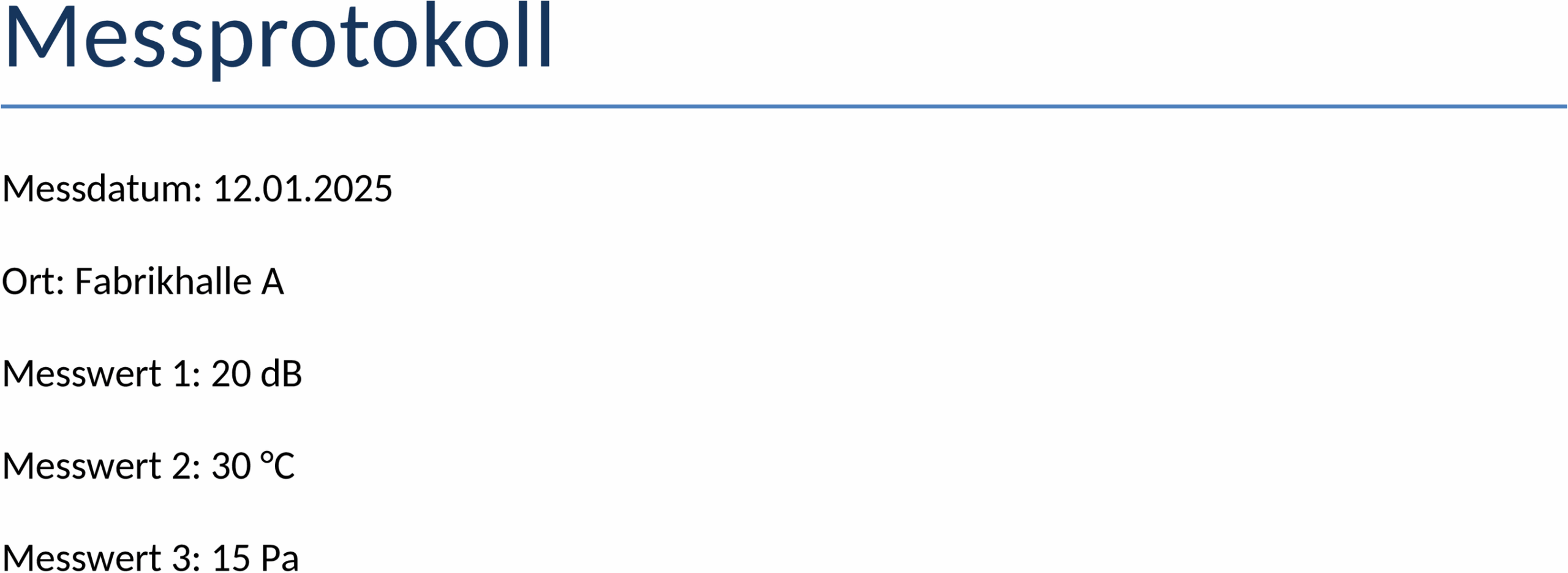 Messprotokoll Word-Dokument