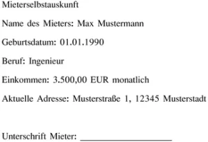 mieterselbstauskunft-teilnehmer-informationen-beruf-einkommen-adresse