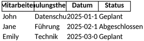 mitarbeiter-schulungsplan.png