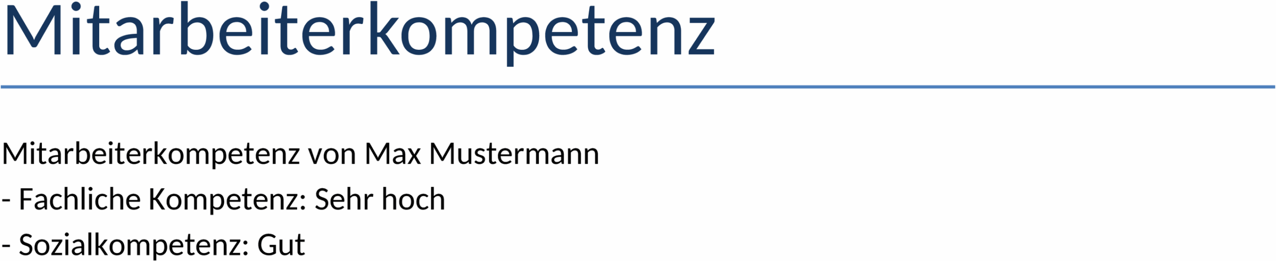 Mitarbeiterkompetenz-Word-Template