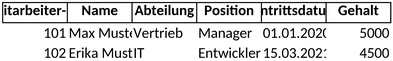mitarbeiterliste-fuer-personalverwaltung-excel