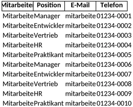 mitarbeiterliste-verwaltung.png