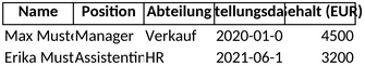 mitarbeiterverwaltung-und-hr-management-vorlage