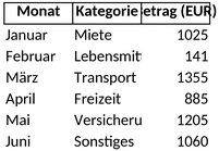 monatliche-ausgaben-budget.png