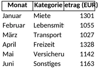 monatliche-ausgaben-tabelle-1747509301703.png