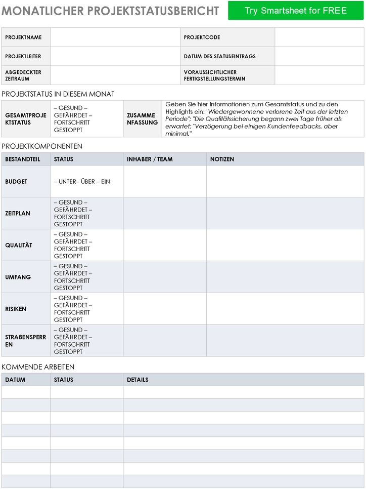 monatlicher-projektstatusbericht-in-word