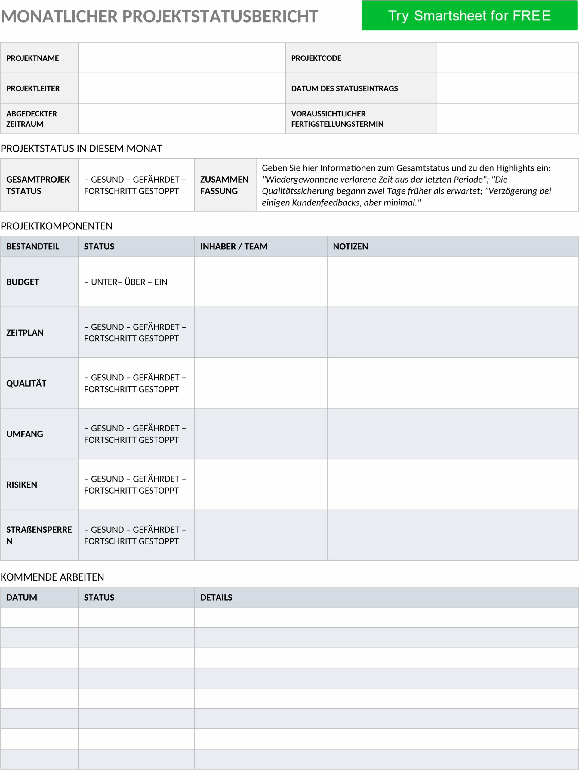 Monatlicher Projektstatusbericht im DOCX-Format