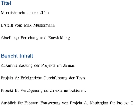 monatsbericht-januar-2025-bericht-vorlage