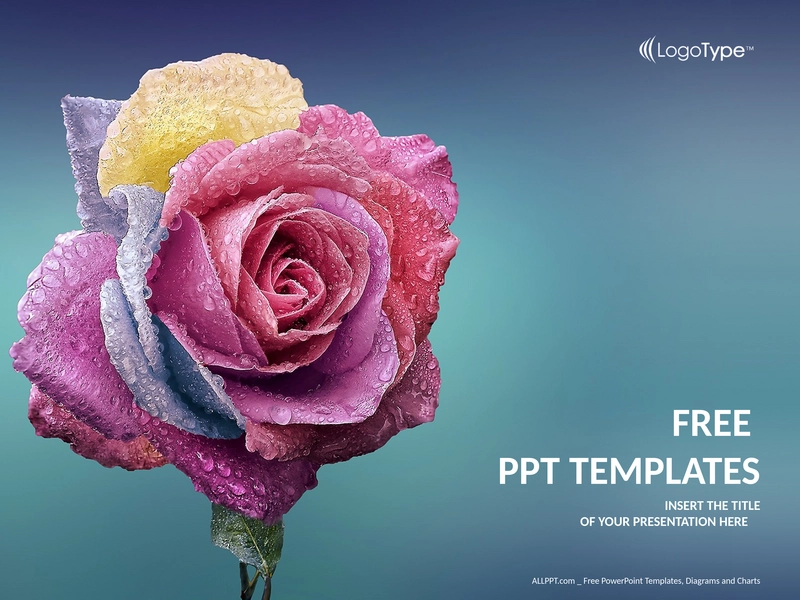 multicolor-rosen-powerpoint-vorlagen-standard.png