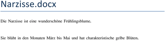 narzisse-fruehlingsblume-bewusst-geniessen