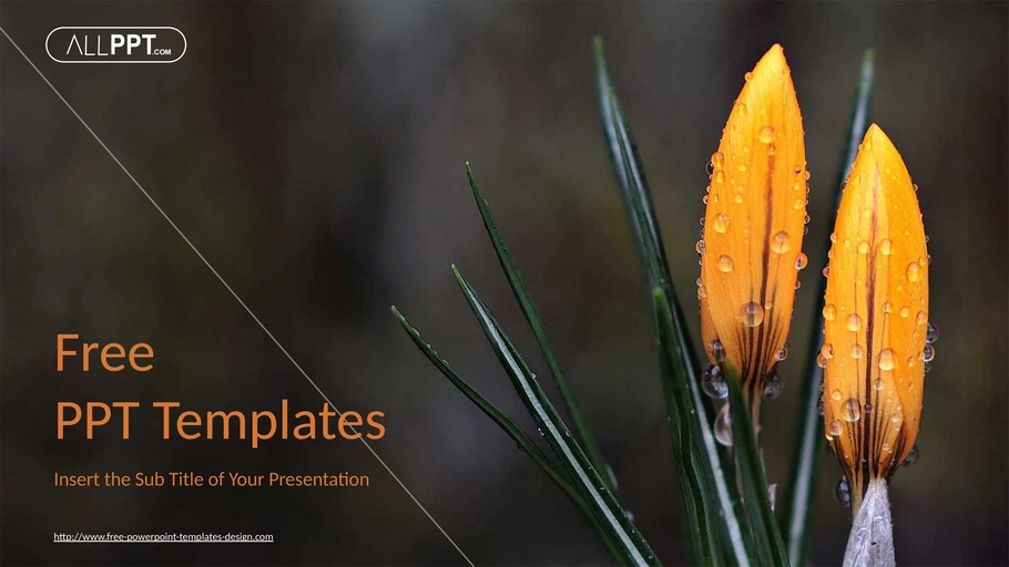 natuerliche-blumen-powerpoint-vorlage.png