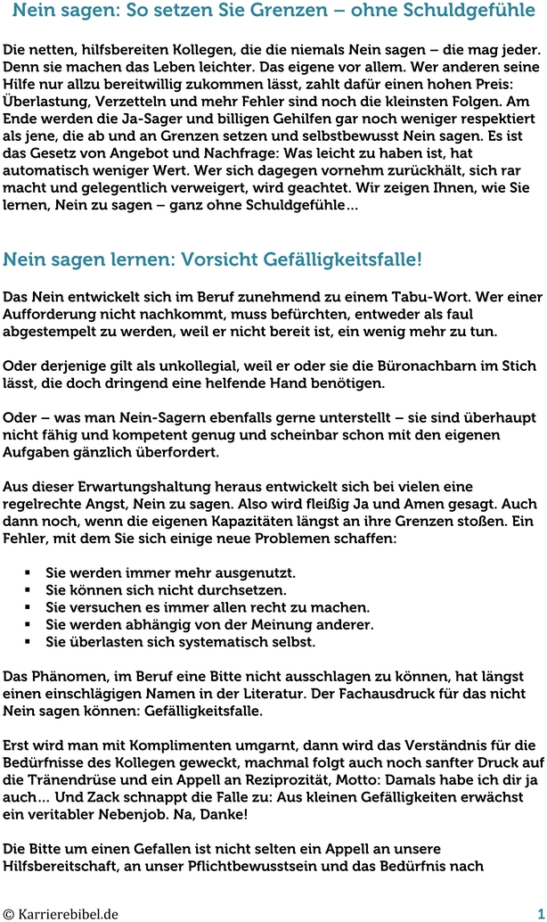 nein-sagen-ratgeber.png