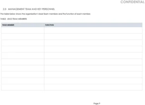 nonprofit-business-plan-vorlage-fuer-jugendprogramm