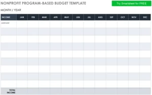 nonprofit-programm-basierte-budget-vorlage